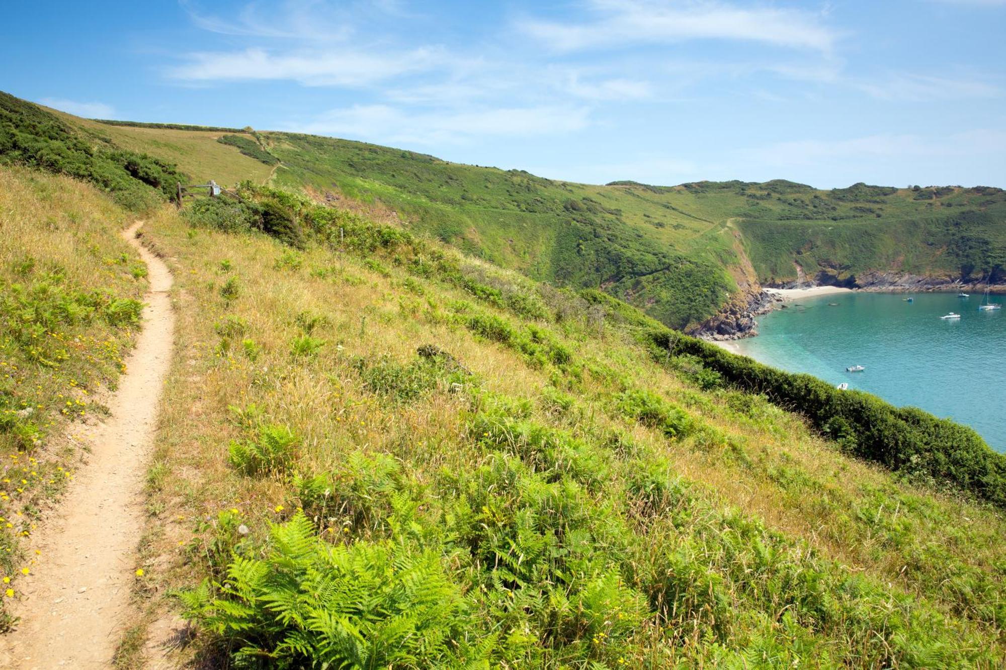 Jessamine: Restored Fisherman's Close To Looe's Harbour Holiday home Looe